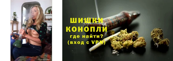 соль ск Волосово