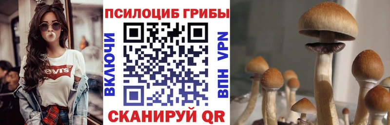 Галлюциногенные грибы GOLDEN TEACHER  Находка 